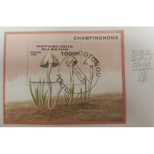 Бенін, 1996 рік, Гриби