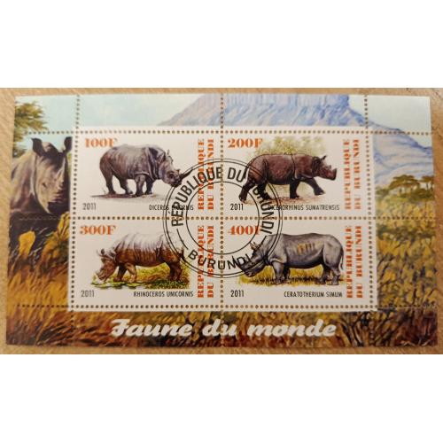 Бурунді, 2011 рік, Носороги