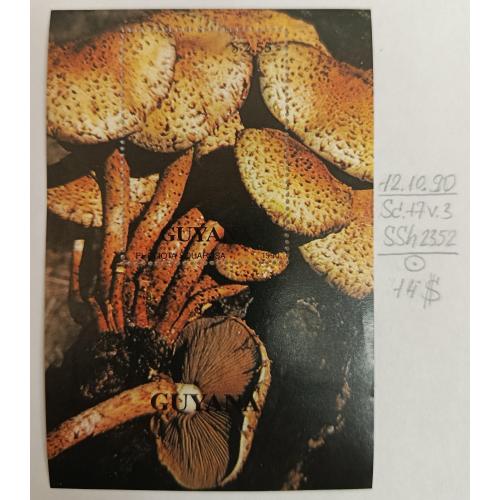 Гайана, 1990 рік, Гриби