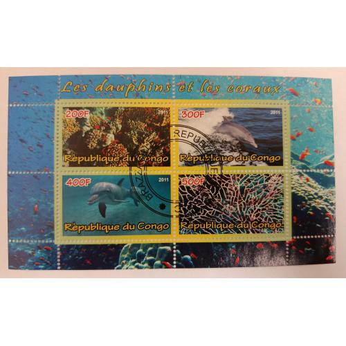 Конго, 2011 рік, Дельфіни