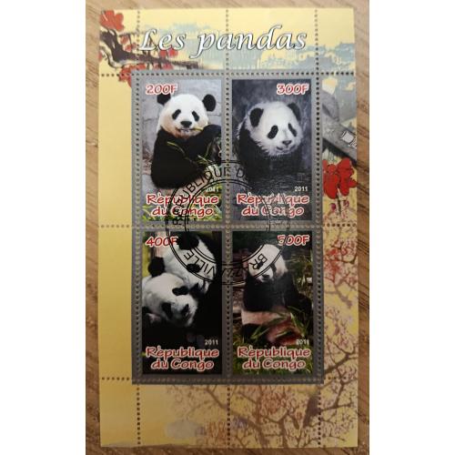 Конго, 2011 рік, Панди