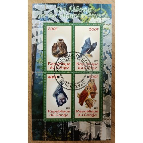 Конго, 2011 рік, Сови та летючі миші