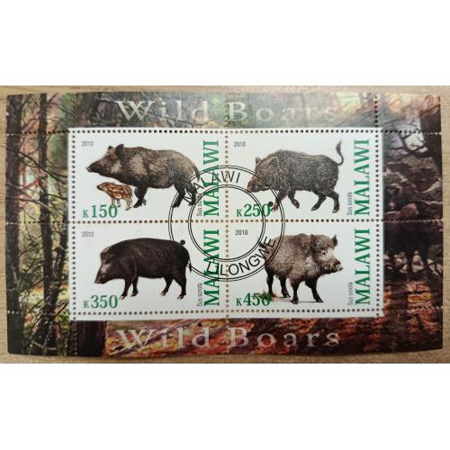 Малаві, 2010 рік, Дикі кабани