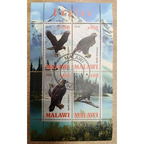 Малаві, 2010 рік, Орли