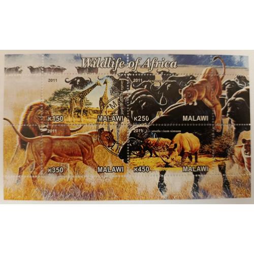Малаві, 2011 рік, Дике життя Африки