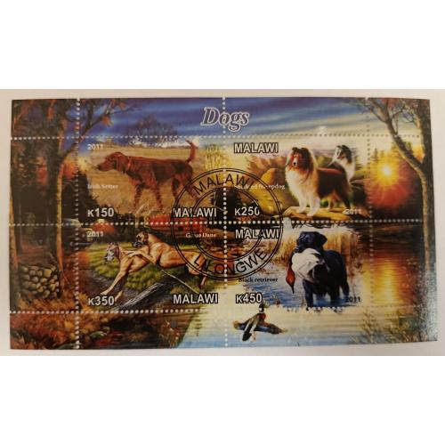 Малаві, 2011 рік, Собаки
