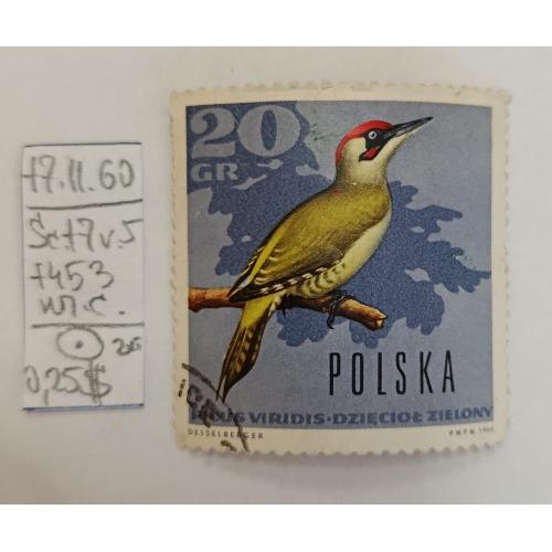 Польща, 1966 рік, лісові птахи