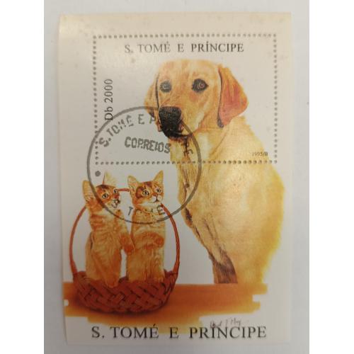 Сан-Томе і Прінсіпі, 1995 рік, Собаки і Коти