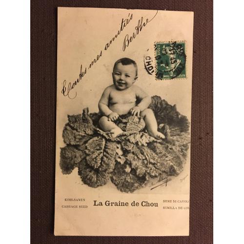 Французская фотооткрытка "С рождение ребенка", ребенок в капусте