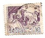 Марка  Польша гашеная Лошадь (№632)