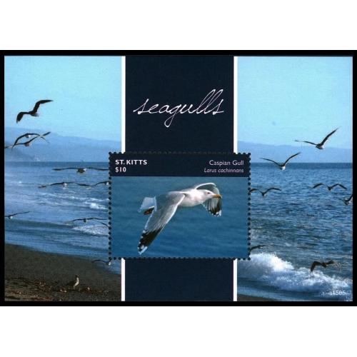 2014 Сент-Китс 1464/B149 Птицы - Чайки 9,00 €
