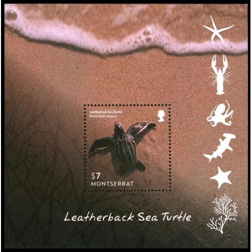 2015 Монтсеррат 1761/B167 Морская фауна - Черепахи 6,00 €