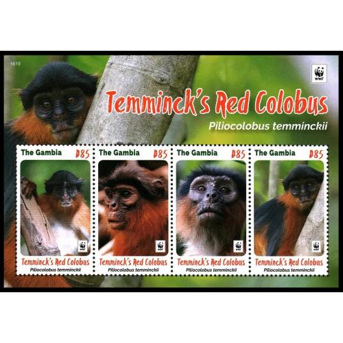 2016 Гамбия 7331-7334/B WWF - Обезьяны 16,00 €
