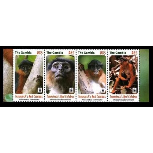 2016 Гамбия 7331-7334полоса WWF - Обезьяны 16,00 €