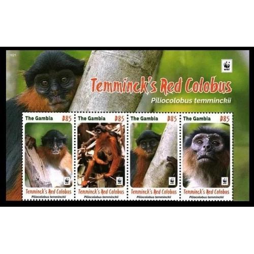 2016 Гамбия 7331-7334strip+Tab WWF - Обезьяны 16,00 €