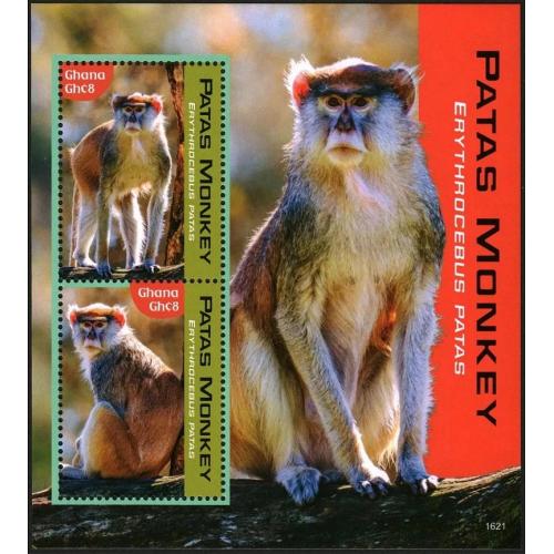 2016 Гана 4775-4776/B598 Фауна - Обезьяны 12,00 €