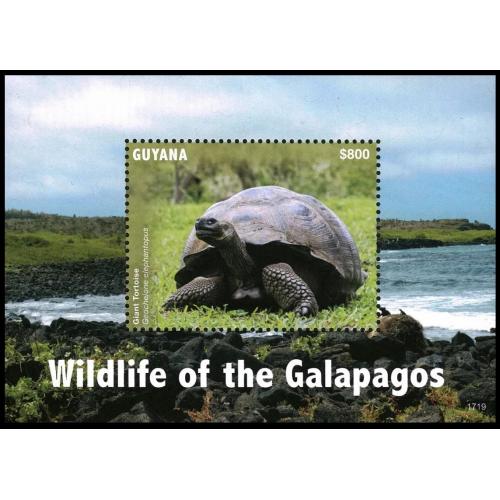 2017 Гайана 9388/B971 Рептилии - Черепахи 9,00 €