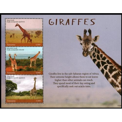 2017 Танзания 5392-5394KL Фата - Жираф 18,00 €