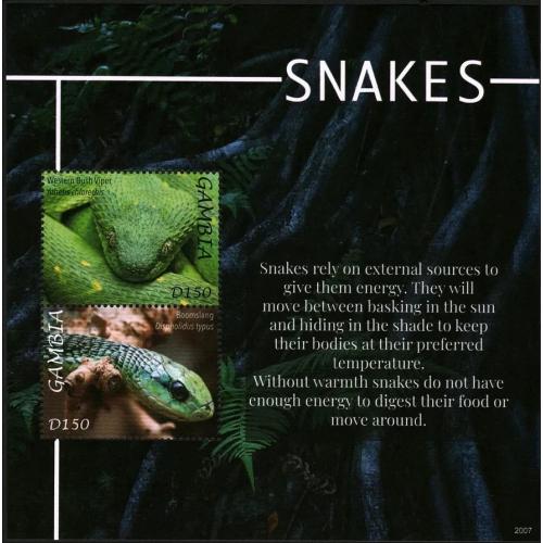 2020 Гамбия 7812-7813/B1015 Рептилии - Змеи 15,00 €