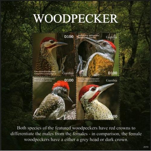 2020 Гамбия 7819-7822KL Птицы - Дятел 20,00 €