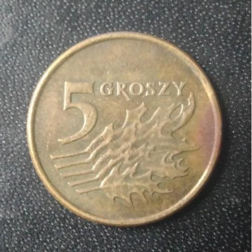 5 грош 2009 Польша