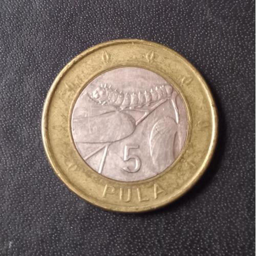5 пул 2013 Ботсвана