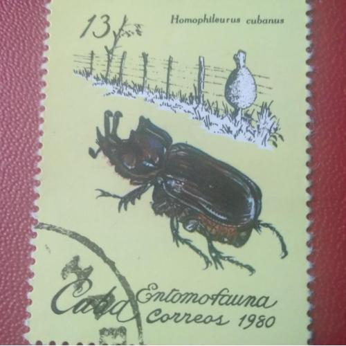 Куба 1980 Жук