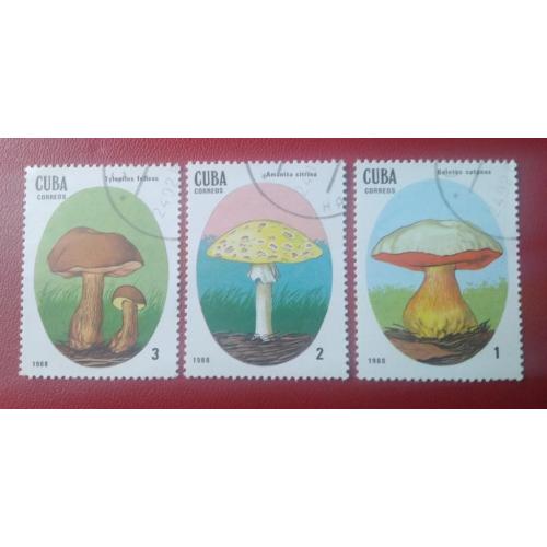  Куба 1988 Грибы