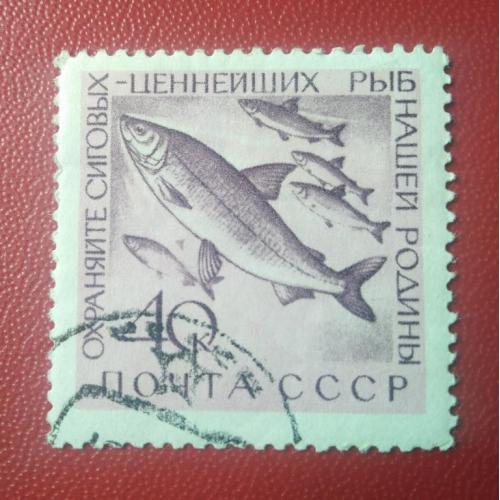 СССР 1960 Рыбы 