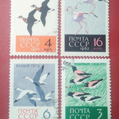 СССР 1962 Птицы 