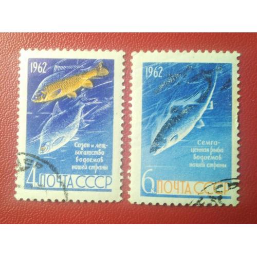 СССР 1962 Рыбы 