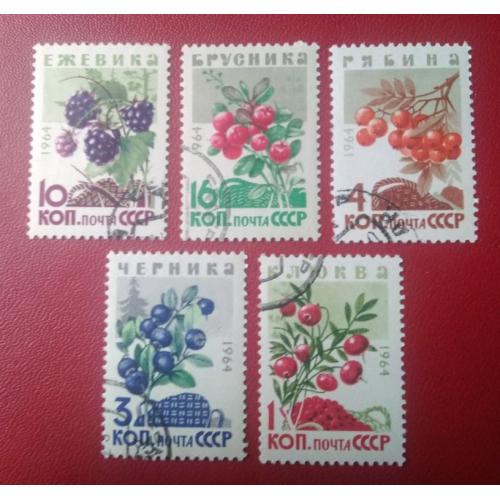 СССР 1964 Ягоды