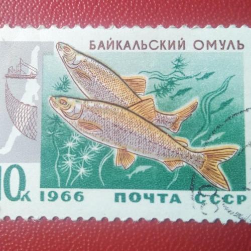СССР 1966 Байкальский омуль