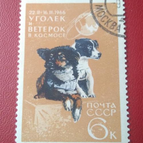 СССР 1966 Уголёк и Ветерок в космосе