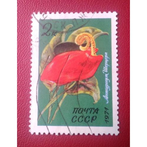СССР 1971 Цветы 