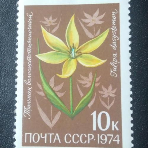 СССР 1974 Цветы