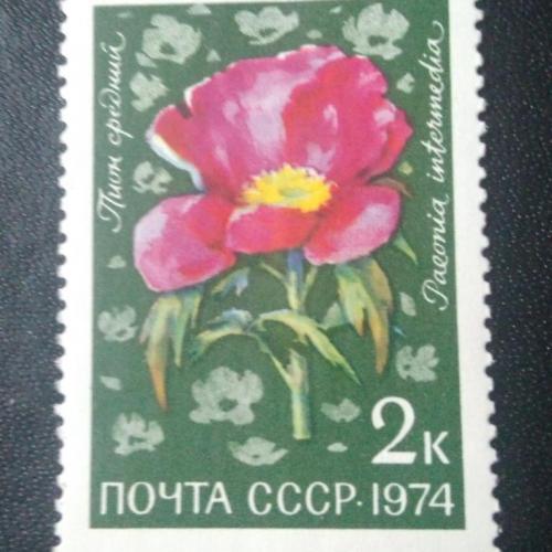 СССР 1974 Цветы