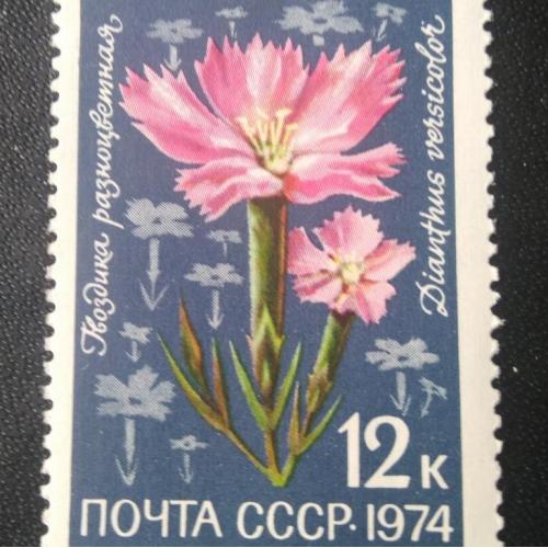 СССР 1974 Цветы