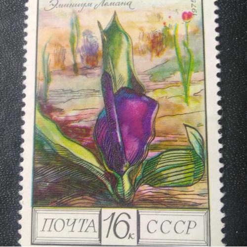 СССР 1975 Цветы