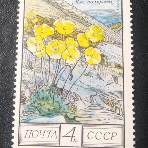 СССР 1975 Цветы