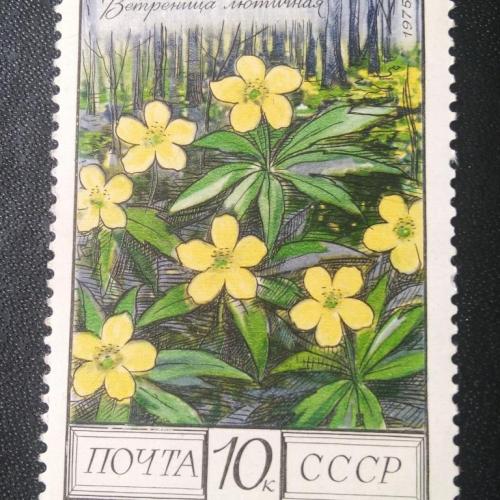  СССР 1975 Цветы 