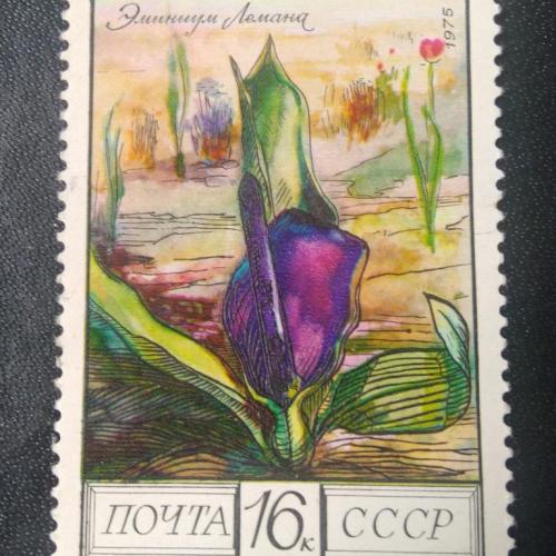 СССР 1975 Цветы