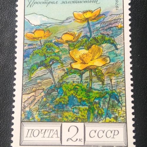 СССР 1976 Цветы