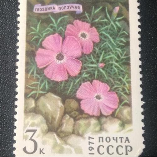СССР 1977 Цветы