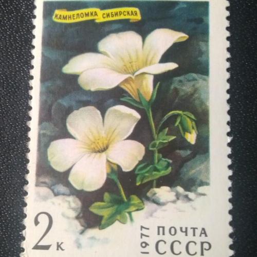 СССР 1977 Цветы