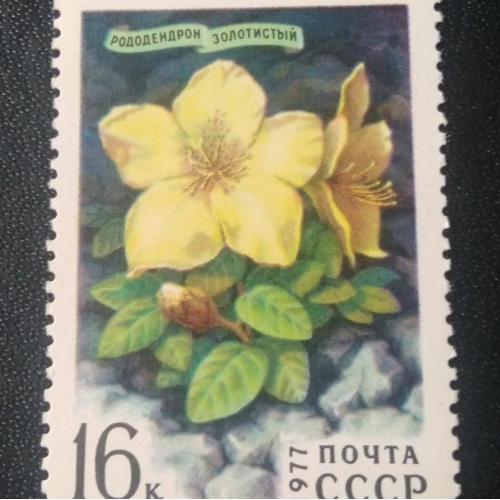 СССР 1977 Цветы