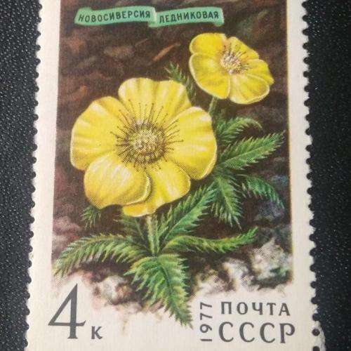 СССР 1977 Цветы
