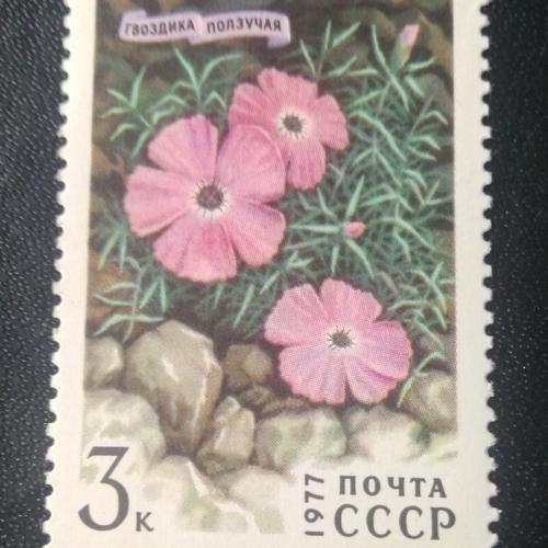 СССР 1977 Цветы