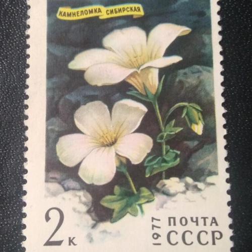 СССР 1977 Цветы