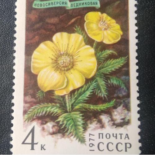 СССР 1977 Новосиверсия ледниковая Цветы 
